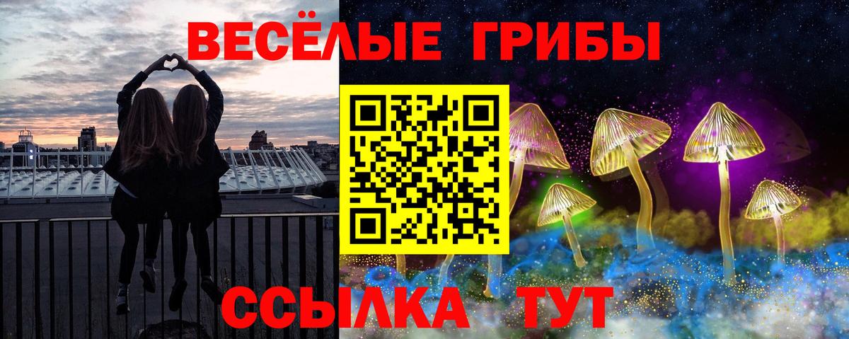 Псилоцибиновые грибы GOLDEN TEACHER Севастополь